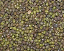 Beans