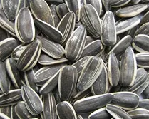 Seeds